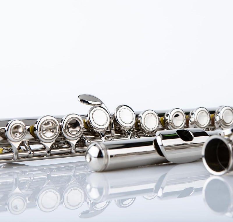 Rhythm C Flutes with Engraved Flower Closed Hole 16 Keys Flute For Student, Beginner with Stand, Carrying Case, Cleaning Kit, Gloves, Tuning Rod (Ni-Silver Color) - Image 3